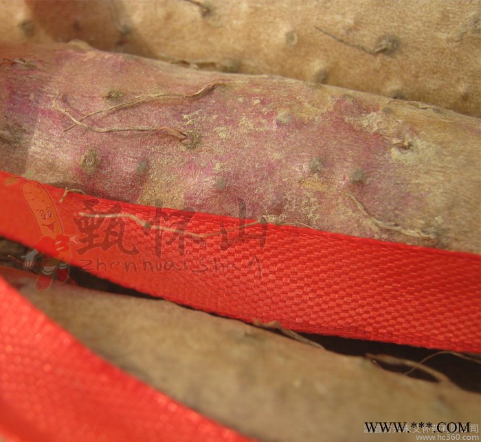 "甄怀山"沙土铁棍怀/淮山药 药食同源 养生珍品 送礼佳品图2