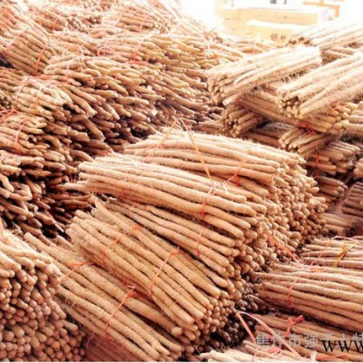 供应强于焦作铁棍山药