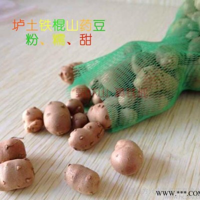 焦作温县铁棍山药豆 垆土山药豆 山药蛋