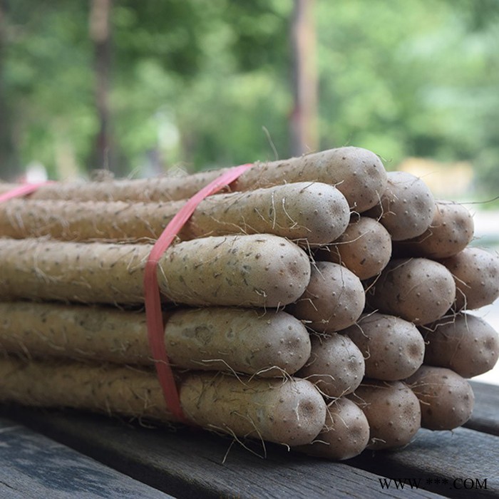 山药哥Hz-001 焦作铁棍山药批发 礼盒装5公斤铁棍山药图5