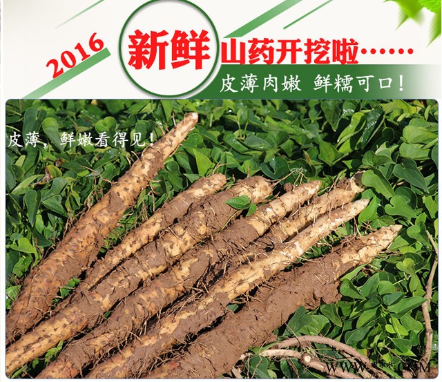 山药哥Hz-001 焦作铁棍山药批发 礼盒装5公斤铁棍山药图7