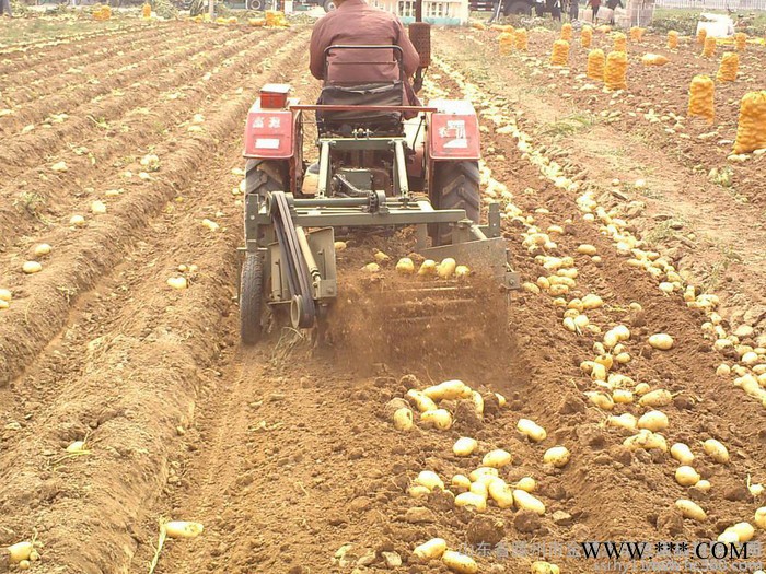 科阳牌薯类收获机 **土豆马铃薯收获机 多功能土豆马铃薯收获机 负式红薯山药自动收获机图8