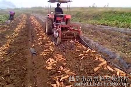 科阳牌薯类收获机 **土豆马铃薯收获机 多功能土豆马铃薯收获机 负式红薯山药自动收获机图6
