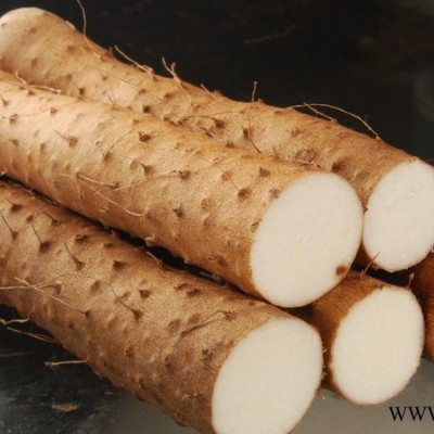 供应 慧聪网**供应商 创世鼎天贸易 山药