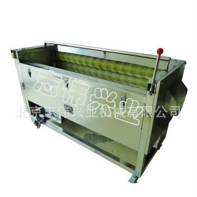 ZW-908清洗机 山药生姜清洗机 胡萝卜清洗机