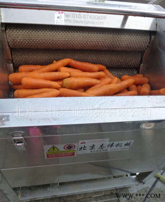 ZW-908清洗机 山药生姜清洗机 胡萝卜清洗机图2