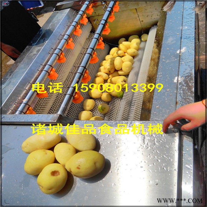 洋葱毛辊清洗机 土豆去皮清洗机 马蹄 山药去皮清洗设备  毛辊去皮清洗机 海产品清洗机图2
