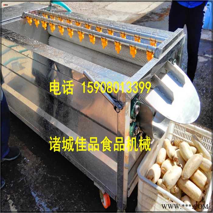 洋葱毛辊清洗机 土豆去皮清洗机 马蹄 山药去皮清洗设备  毛辊去皮清洗机 海产品清洗机图3