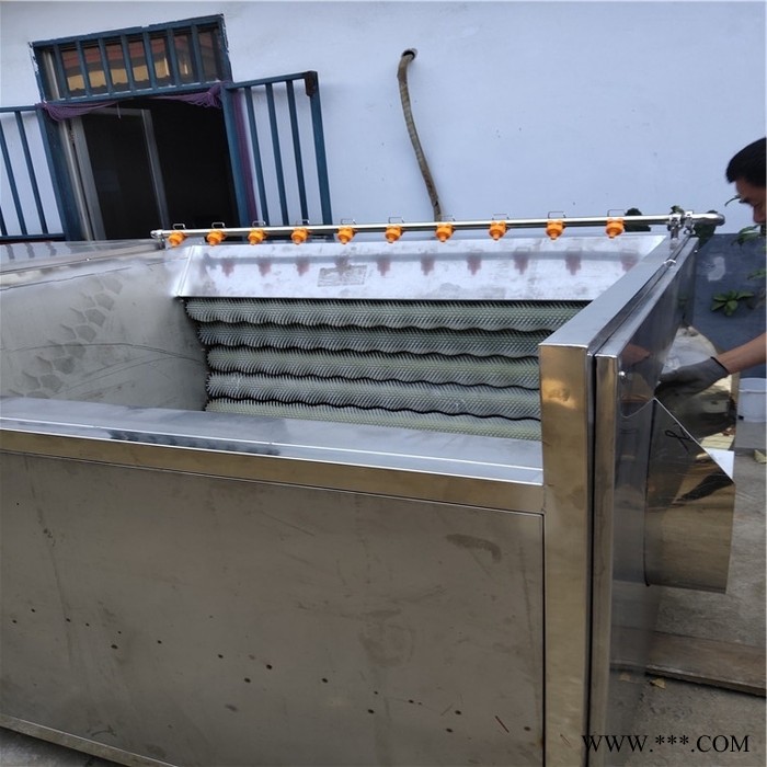 供应核桃仁去皮清洗机 不锈钢毛棍清洗机 山药毛棍去皮清洗机图7