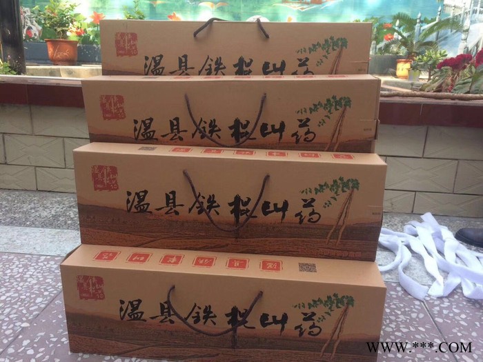 Clara 铁棍山药图2