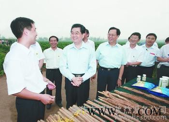 供应美誉焦作铁棍山药图3