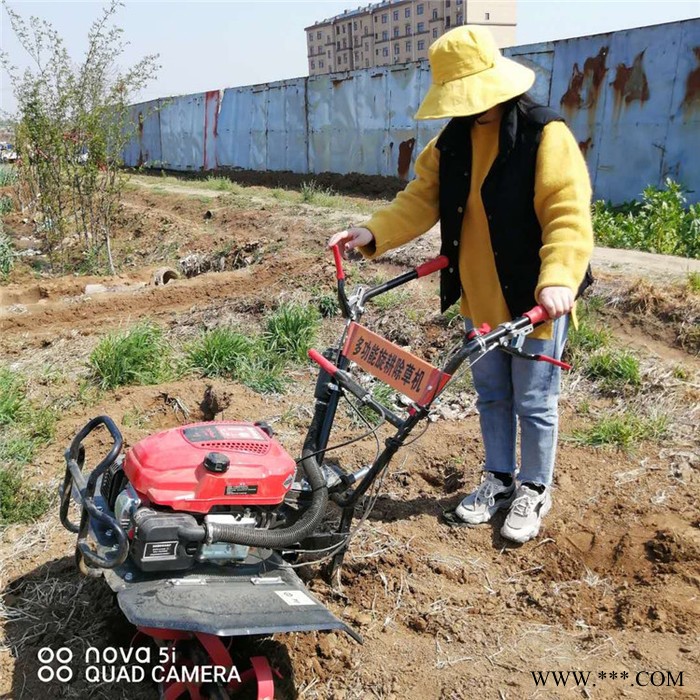 富兴山药种植开沟培土机 山坡地耕种松土机 农用链条式田园管理机图7