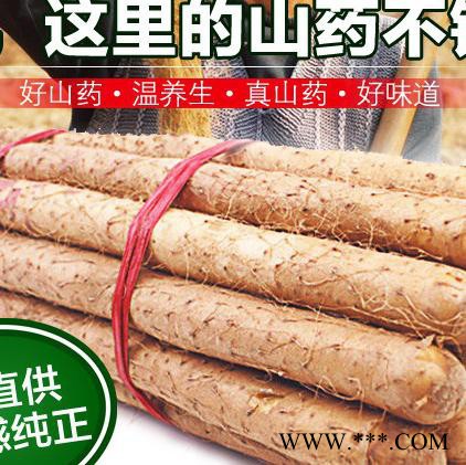 山药5斤包邮陈集铁棍山药正宗农家土特产新鲜精选养生食品500g图3