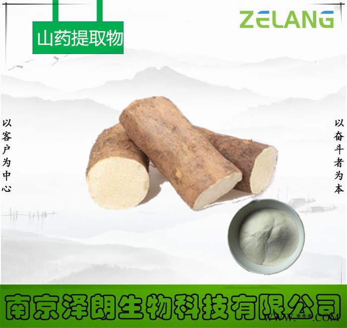 山药提取物-南京泽朗生物科技有限公司图3