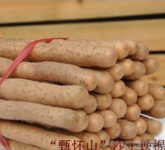 焦作特产正宗沙土铁棍怀/淮山药-养生农产品蔬菜/食品