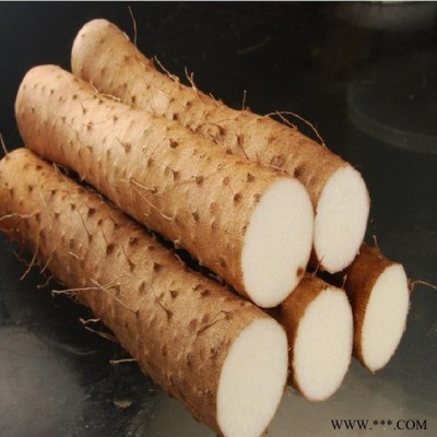 厂家供应 ** 山药提取物6-20%薯蓣皂素