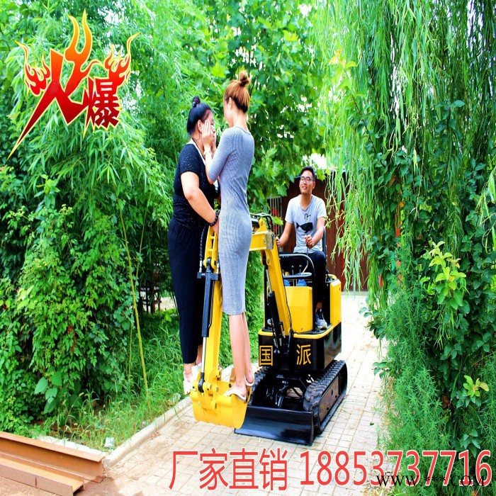 山药机小型挖掘机 全新 微型果园苗圃挖机小型履带式挖掘机图4