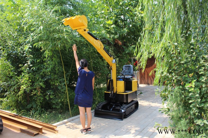 山药机小型挖掘机 全新 微型果园苗圃挖机小型履带式挖掘机图3
