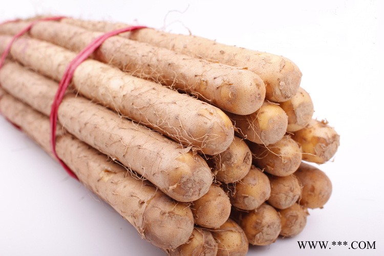 山药 铁棍山药  山药批发 ** 热卖 2014铁棍山药 银秋山药合作社 农户种植基地 植物  绿色农产品