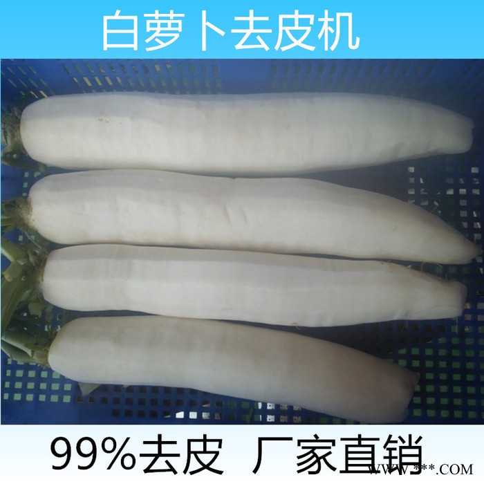 义泰YT-200 多功能山药去皮机 仿人工萝卜削皮机价格**图4