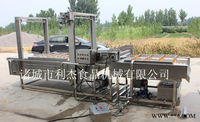 辣椒清洗去杂机 山药清洗去杂机专业设备 **价廉欢迎选购图2