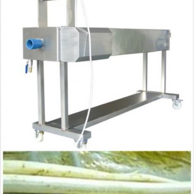 山药清洗去皮机 山药自动去皮机脱皮机削皮机