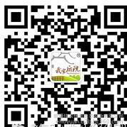 保鲜植物我家后院 有机山药 非转基因**不添加任何农药图2