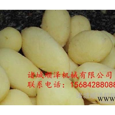 土豆山药清洗去皮机 毛刷清洗机  售后有保障