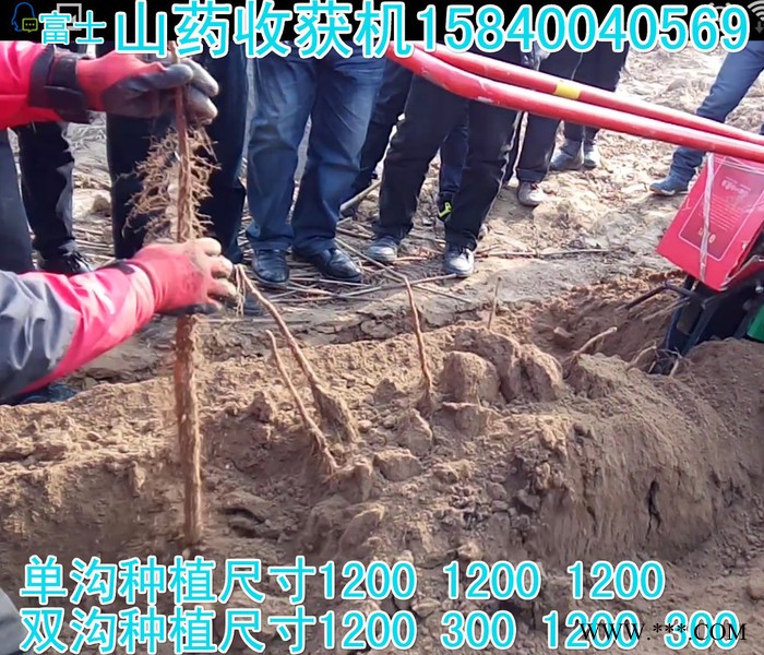 山药机，菏泽山药机，菏泽山药收获机图7