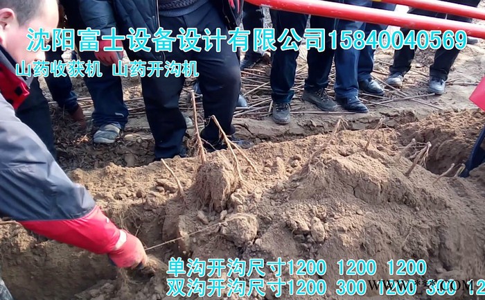 山药机，菏泽山药机，菏泽山药收获机图5