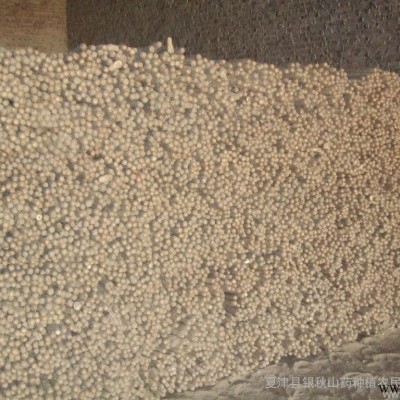 山药 铁棍山药 山药批发 养生 ** 热卖 铁棍山药 银秋山药合作社 农户种植基地 绿色农产品