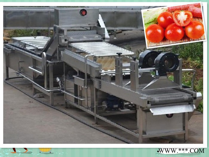 芋头清洗机 生姜清洗 山药清洗设备图3