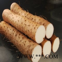 青润生物   专业生产山药提取物10:1