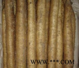 青润生物   专业生产山药提取物10:1图2