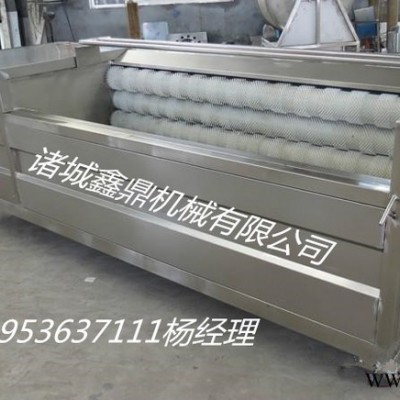 供应毛辊清洗机/土豆清洗机/山药清洗机