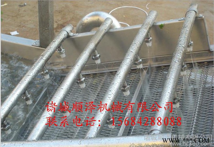 新型不锈钢山药清洗机  海带清洗机 大姜清洗机图2