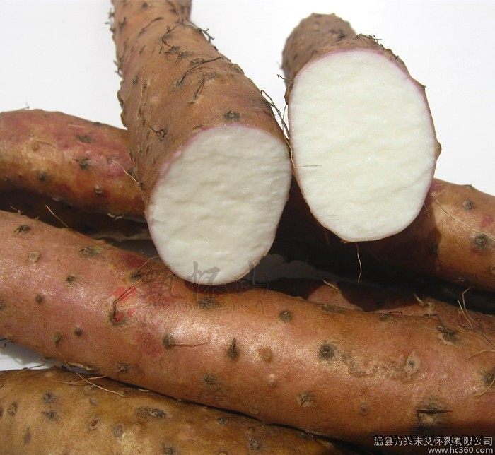 正宗焦作特产铁棍/铁杆山药礼盒装 产地直销 价格优惠图2