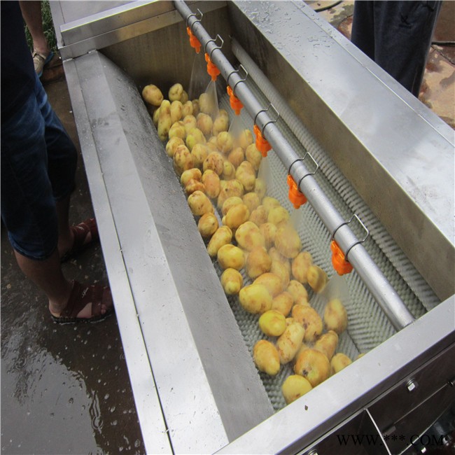 尊泰工业装备ZTQX-1200 胡萝卜毛辊清洗机莲藕蔬菜毛辊清洗机 土豆山药药材清洗脱皮设备 可定制规格图4