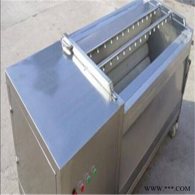 尊泰工业装备ZTQX-1200 胡萝卜毛辊清洗机莲藕蔬菜毛辊清洗机 土豆山药药材清洗脱皮设备 可定制规格图3