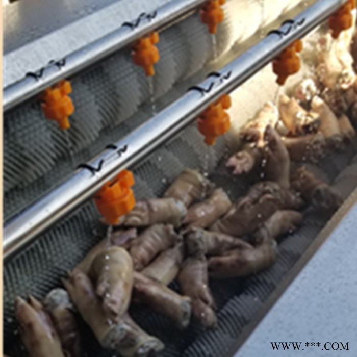 佳乐QX-1500 猪蹄毛辊清洗机去杂机 厂家供应土豆山药毛辊清洗机图6