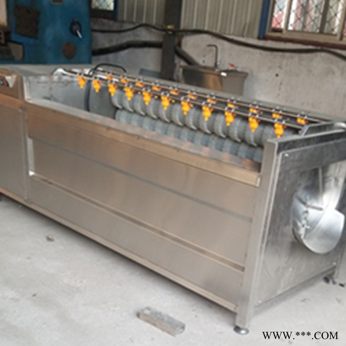 佳乐QX-1500 猪蹄毛辊清洗机去杂机 厂家供应土豆山药毛辊清洗机图5