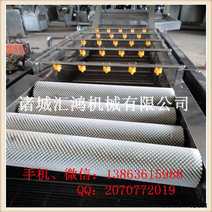 巴西咖啡豆清洗机谁家专业 山药豆气泡清洗机价格优惠 汇鸿成功投放市场图3