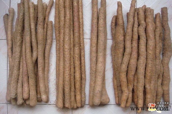 小白嘴麻山药过年送礼图3