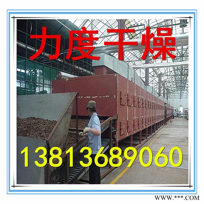 常力干燥供应洋葱山药专用DW系列多层带式干燥机图2