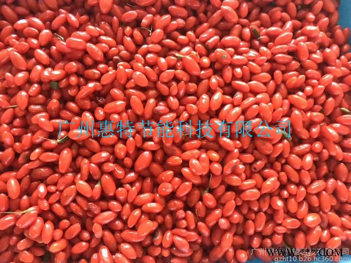 惠特FT-HGJ06 中药材烘干机烘干设备厂家 枸杞烘干机 金银花烘干机 山药图3