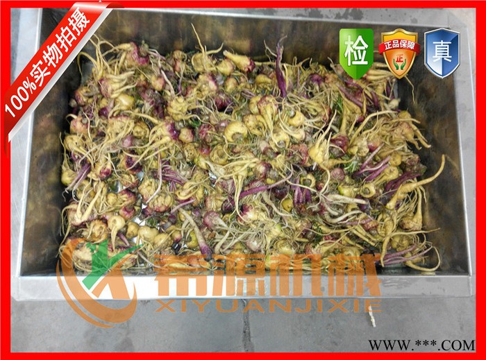 厂家**希源牌MG-5000型马铃薯、山药根茎类蔬菜全自动毛辊清洗机价格图6