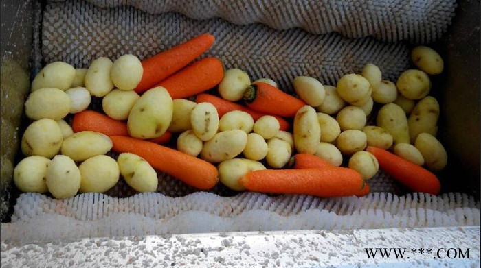 厂家**希源牌MG-5000型马铃薯、山药根茎类蔬菜全自动毛辊清洗机价格图7