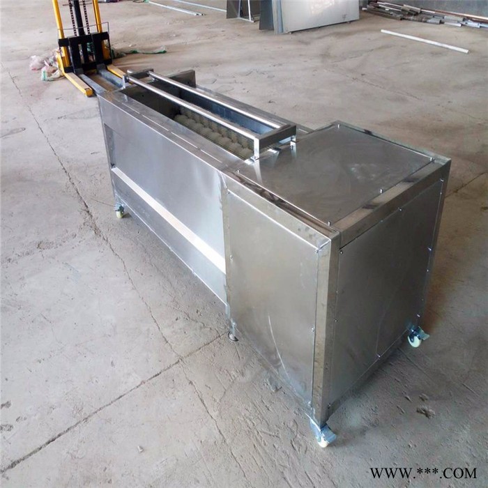 丰尚FS-1500 毛辊清洗机 山药清洗去皮机 马铃薯清洗去皮机 莲藕清洗去皮机  多用途毛辊清洗去皮设备图4