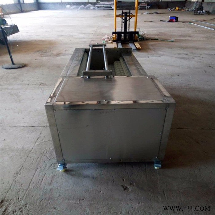 丰尚FS-1500 毛辊清洗机 山药清洗去皮机 马铃薯清洗去皮机 莲藕清洗去皮机  多用途毛辊清洗去皮设备图5