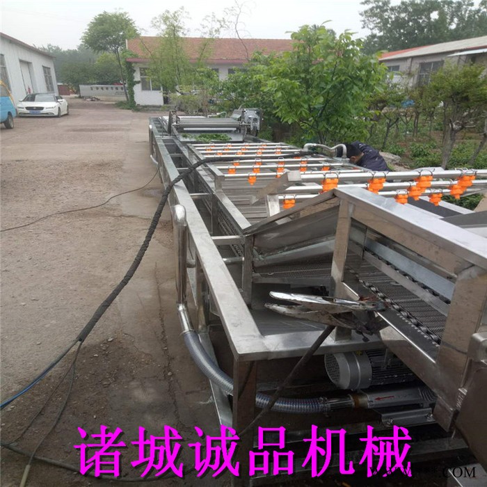诚品 毛辊清洗机 毛豆清洗机 红薯去皮清洗机 萝卜清洗设备 海蛎子毛辊清洗机 山药清洗机 马铃薯土豆去皮机 **图3